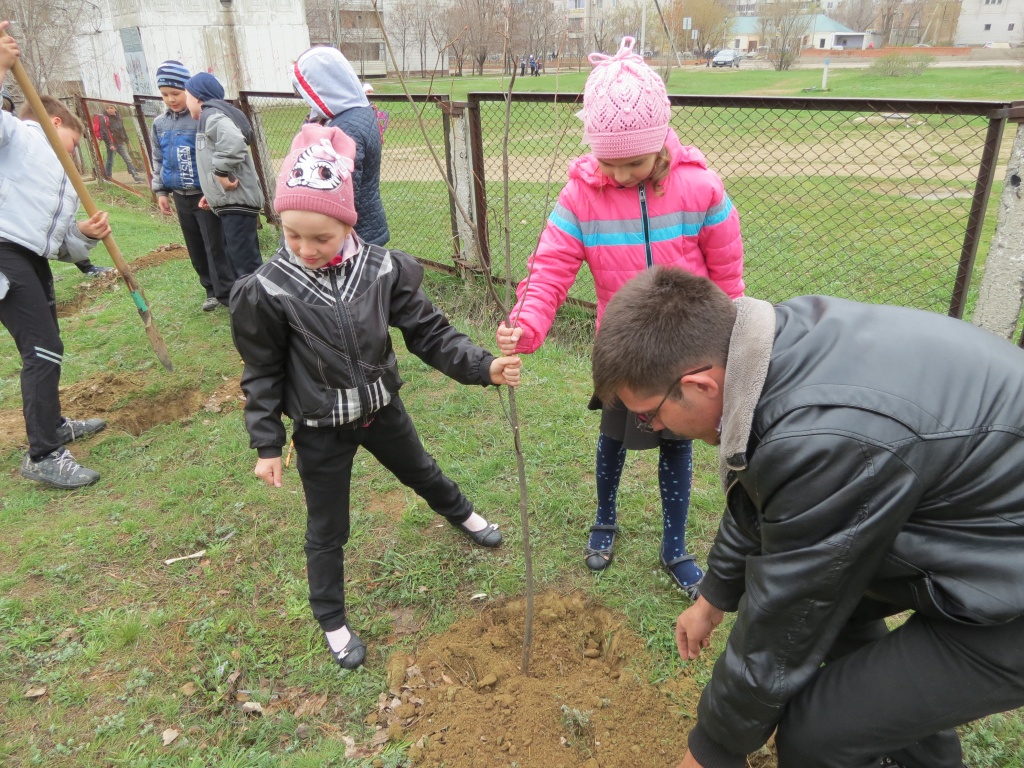 ������� ��������.JPG